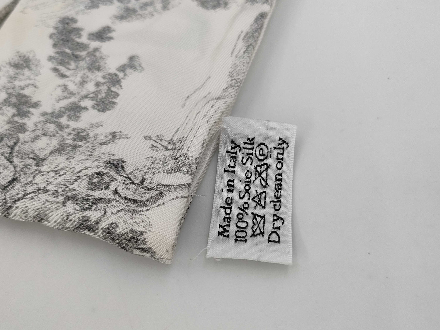 Dior Dior Scarf Scarf