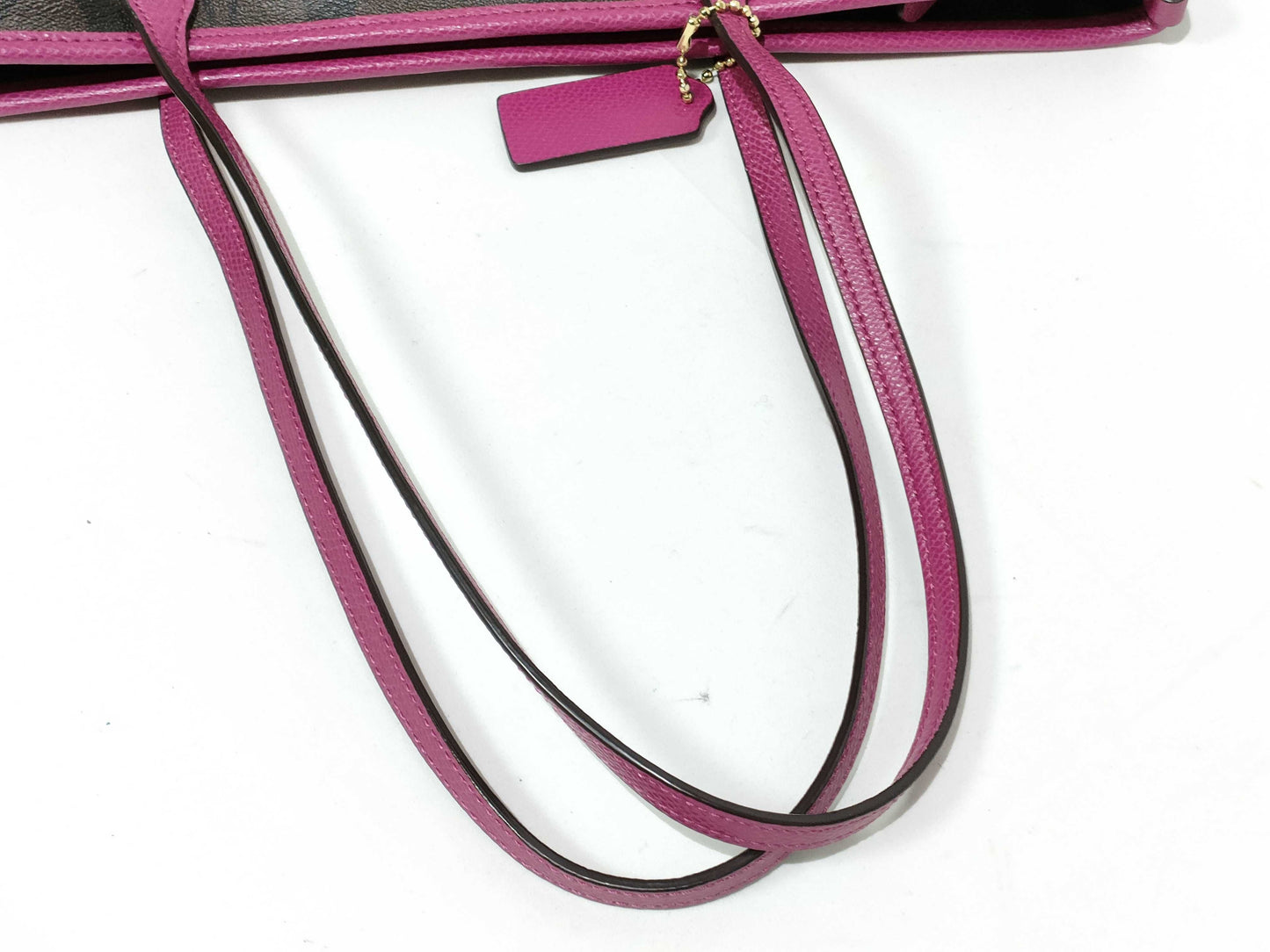 COACH Signature Coach Tote Bag