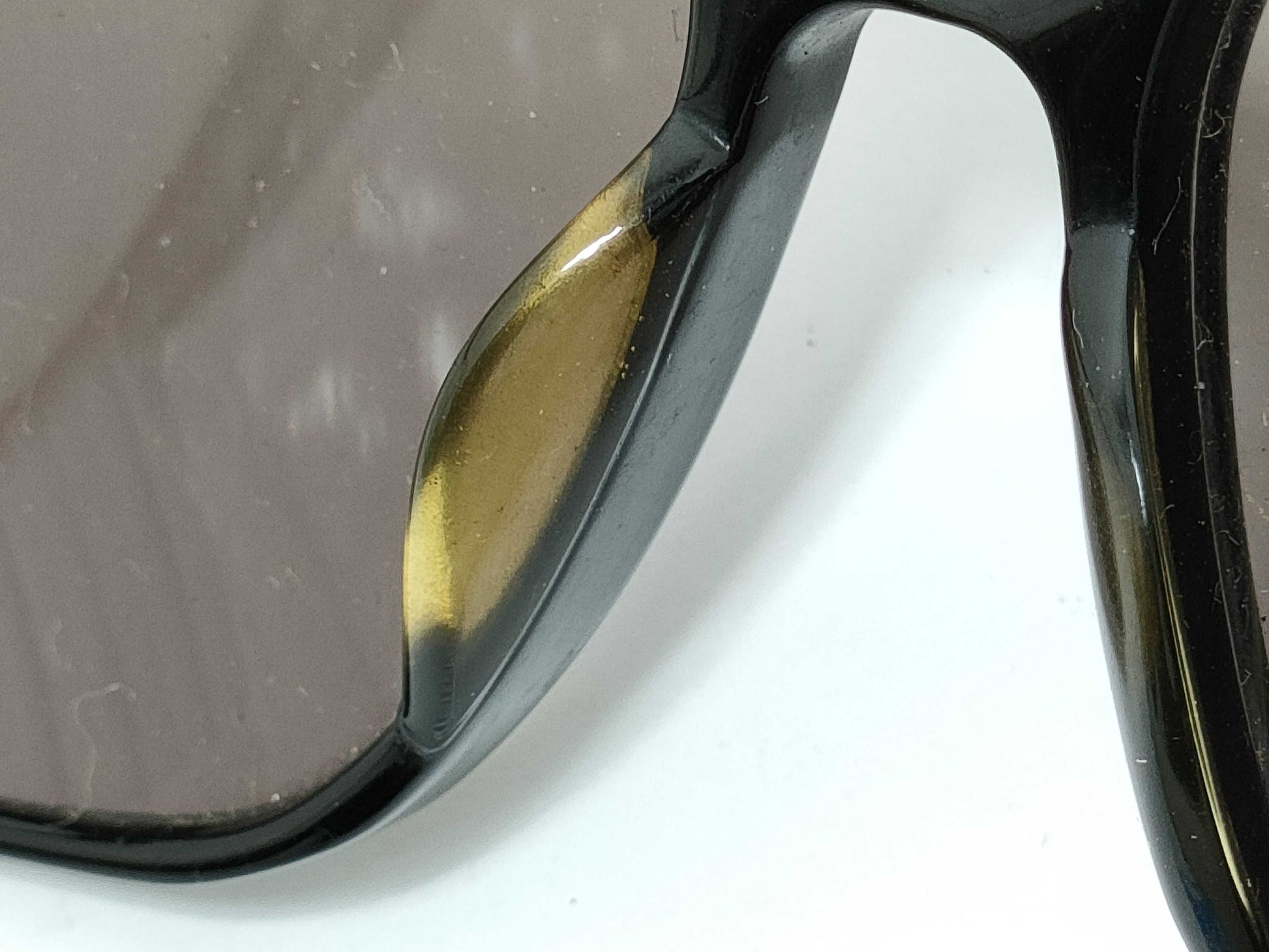 POLO Ralph Lauren sunglasses and eyeglasses