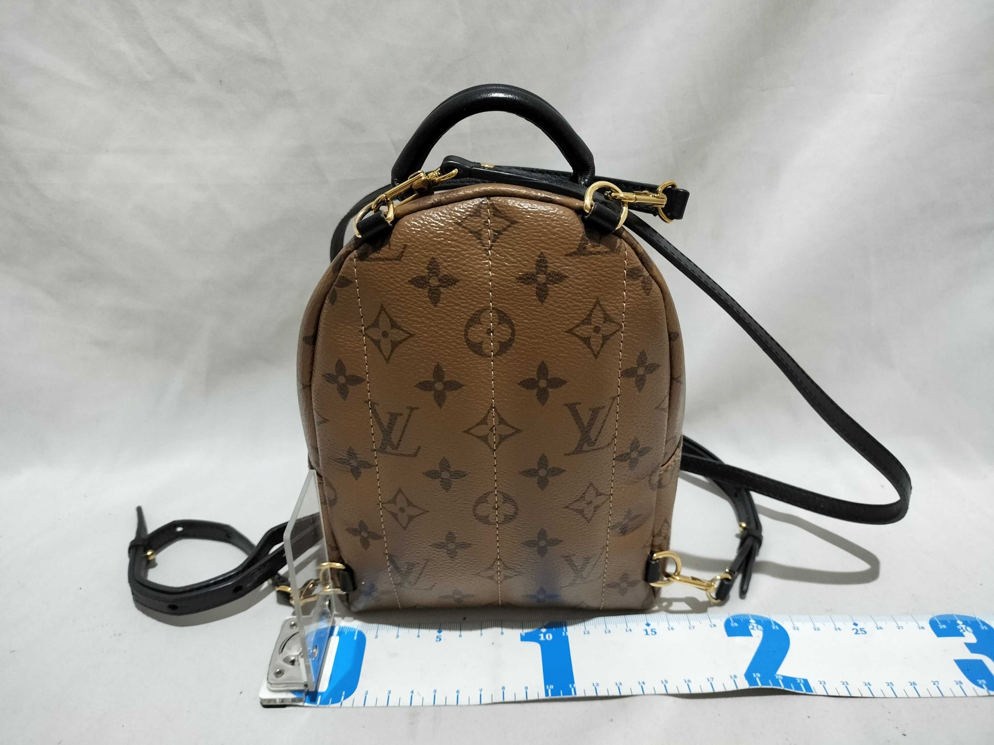 LOUIS VUITTON Monogram Louis Vuitton Palm Springs Backpack