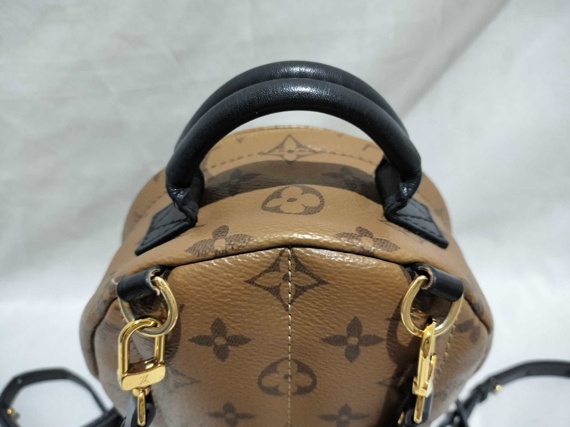 LOUIS VUITTON Monogram Louis Vuitton Palm Springs Backpack