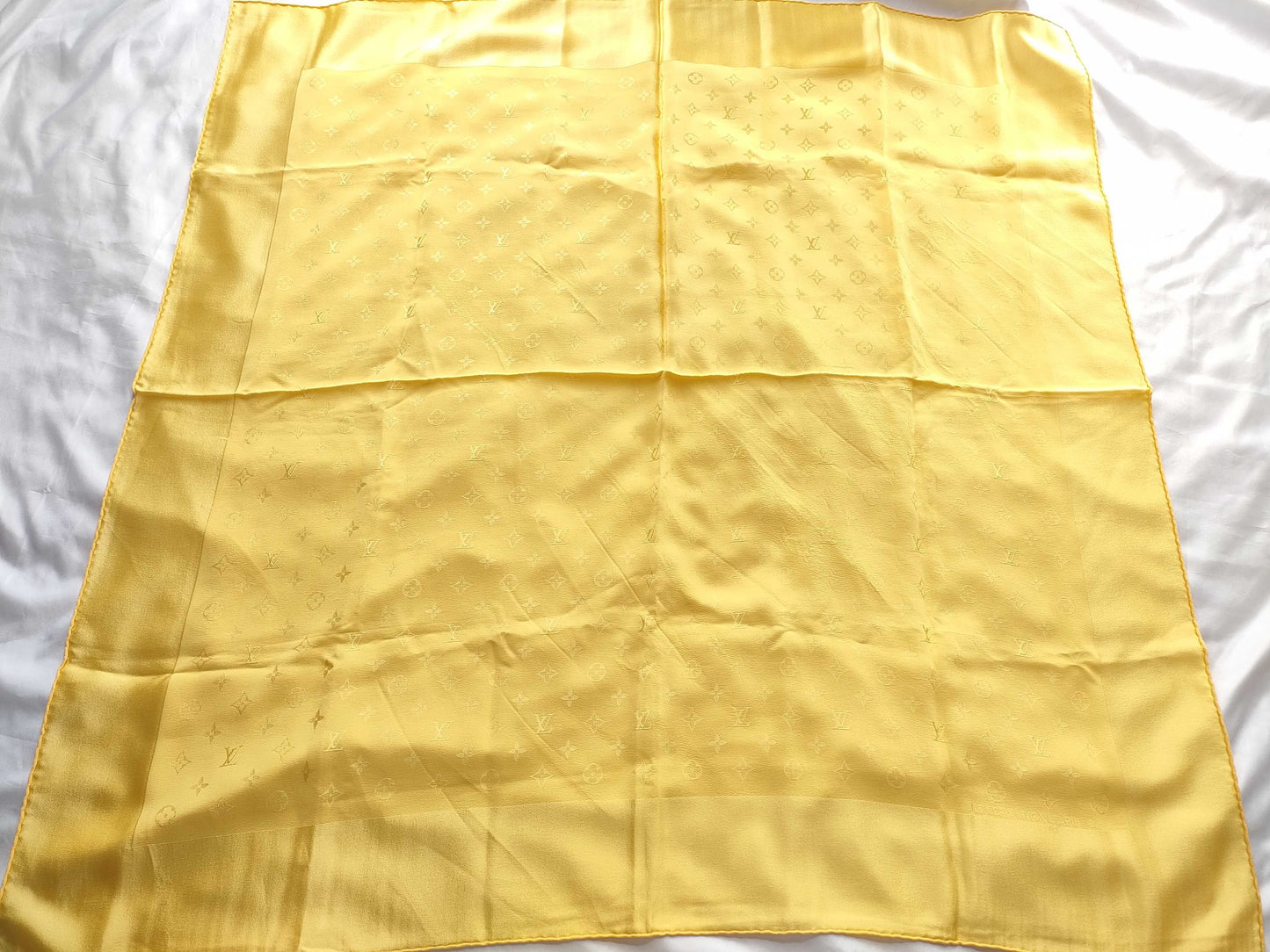 LOUIS VUITTON LOUIS VUITTON Scarf Scarf