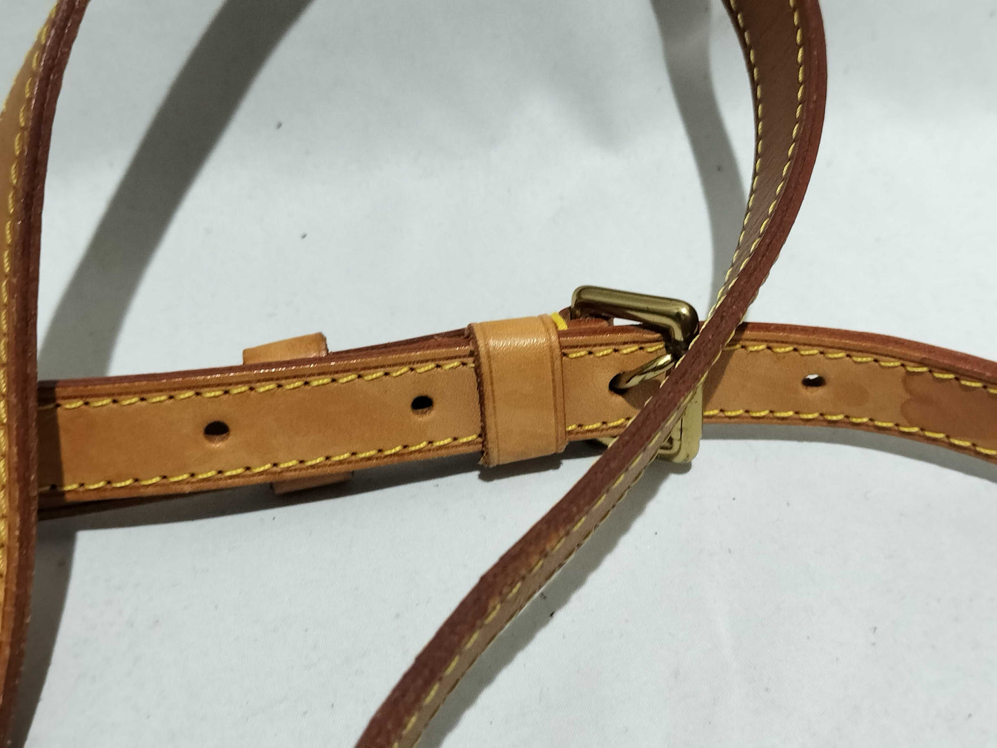 LOUIS VUITTON Monogram Louis Vuitton Viva Cite PM Shoulder Bag