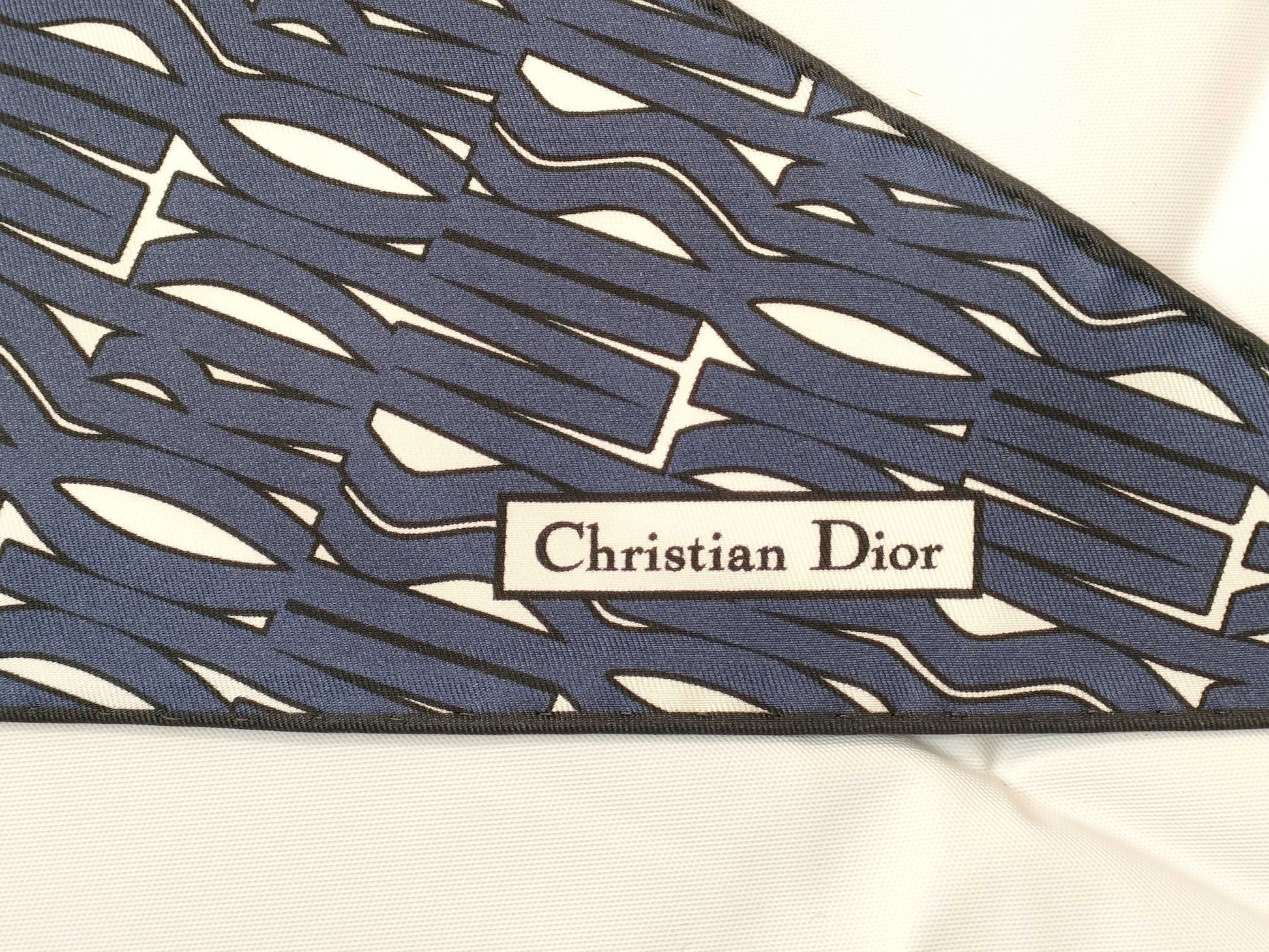Dior Silk Scarf Blue Scarf