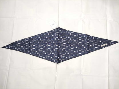 Dior Silk Scarf Blue Scarf