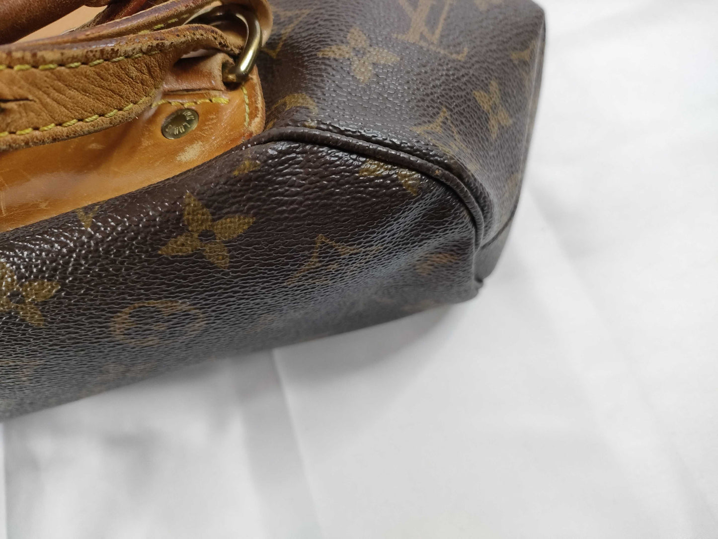 LOUIS VUITTON Monogram Shopping in the Rain Monogram Backpack M99030/AR0956