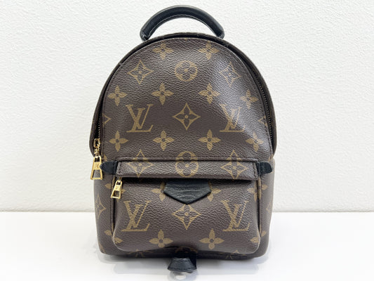 LOUIS VUITTON LOUIS VUITTON Louis Vuitton Monogram Palm Springs Rucksack Rucksack Backpack Rucksack