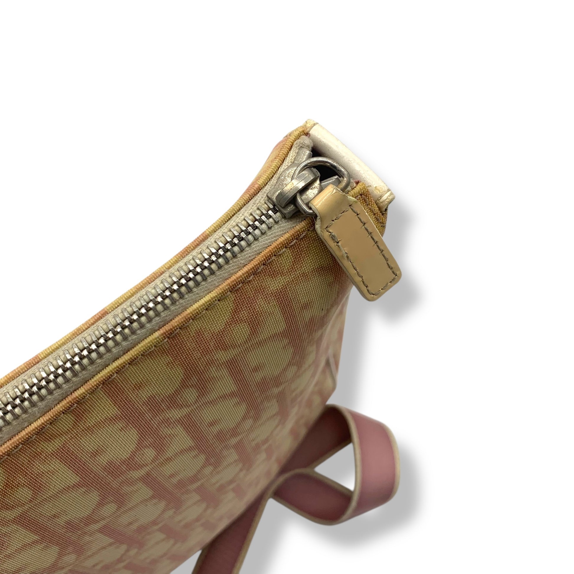 Dior Dior Trotter Print Shoulder Bag 2 Pieces Set Shoulder Bag