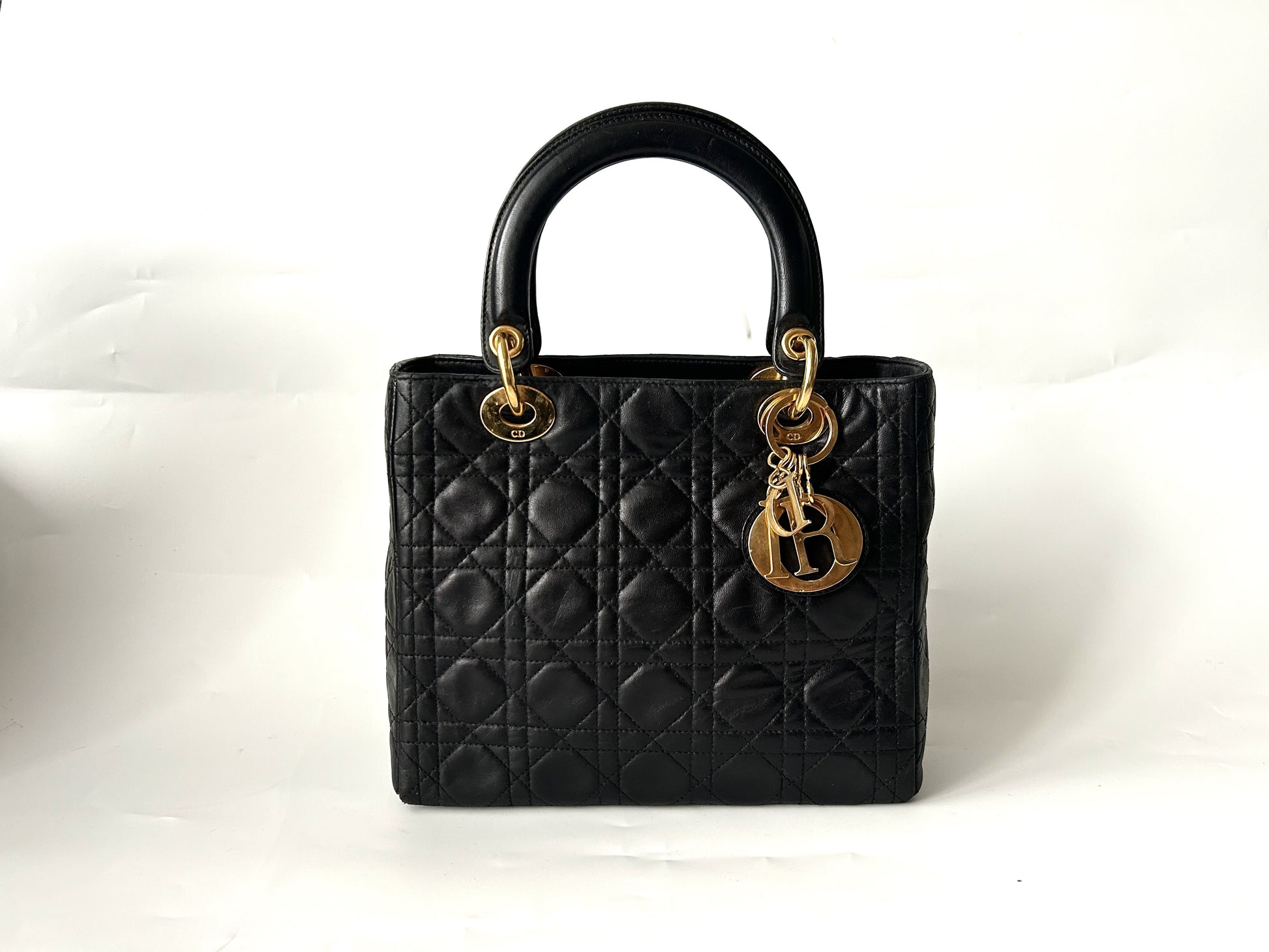 Dior Canage Leather Small Bag