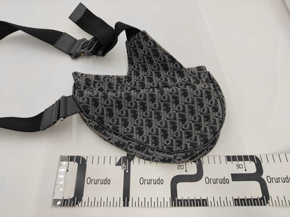 Dior Christian Dior Trotter Saddlebag Shoulder Bag