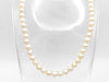 Pearl Diameter Approx. 7.1-7.5mm SV 30.6g Necklace 