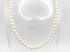 Pearl Diameter Approx. 6.5-6.9m SV 27.9g Necklace 
