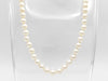 TASAKI Pearl Diameter Approx. 6.1-6.4mm SV 24.3g Necklace 