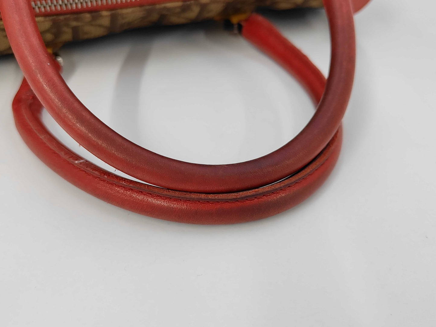 Dior Christian Dior Rasta Handbag