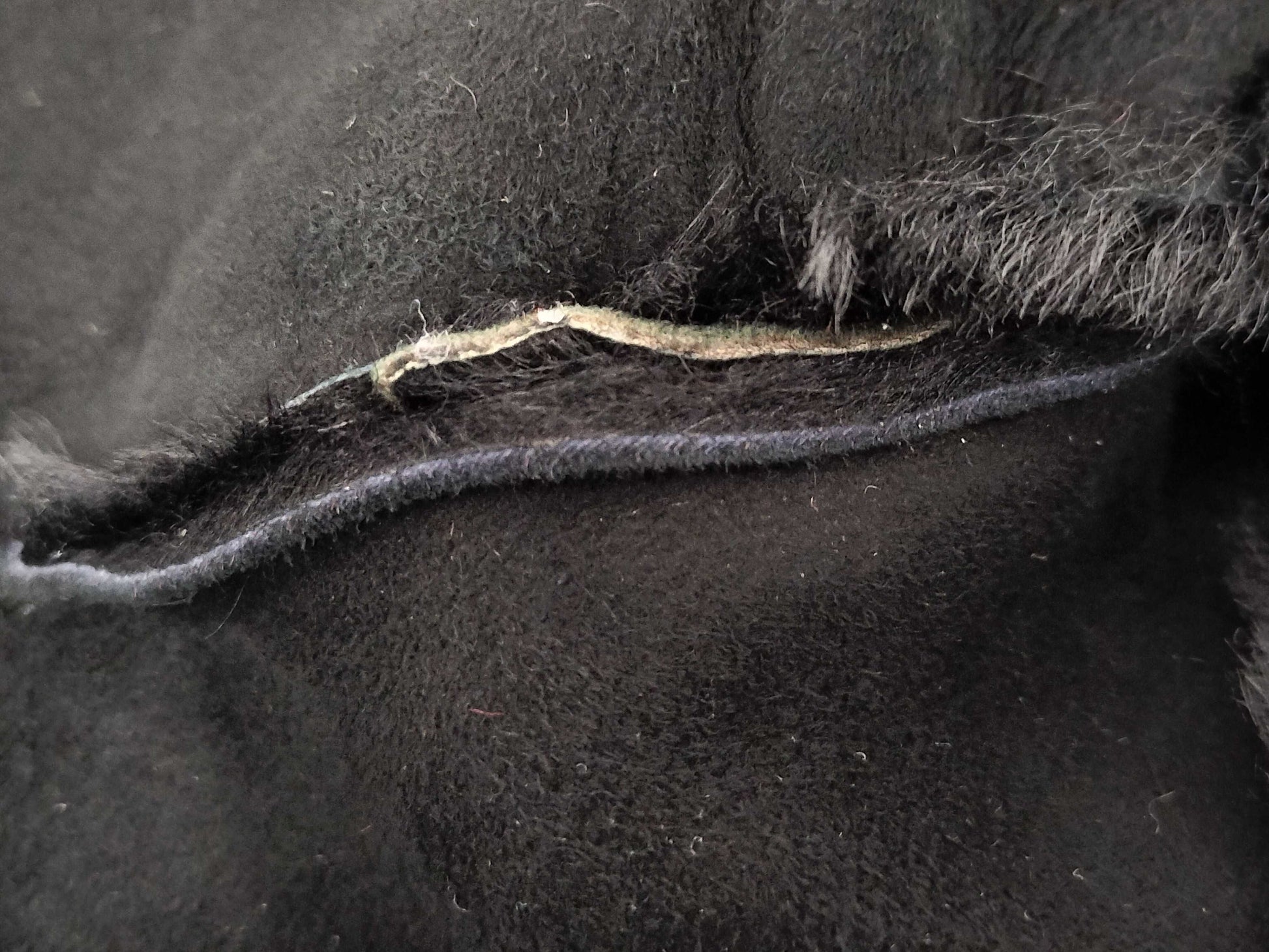 Vivienne Westwood Vivienne Fur Coat Black Jacket