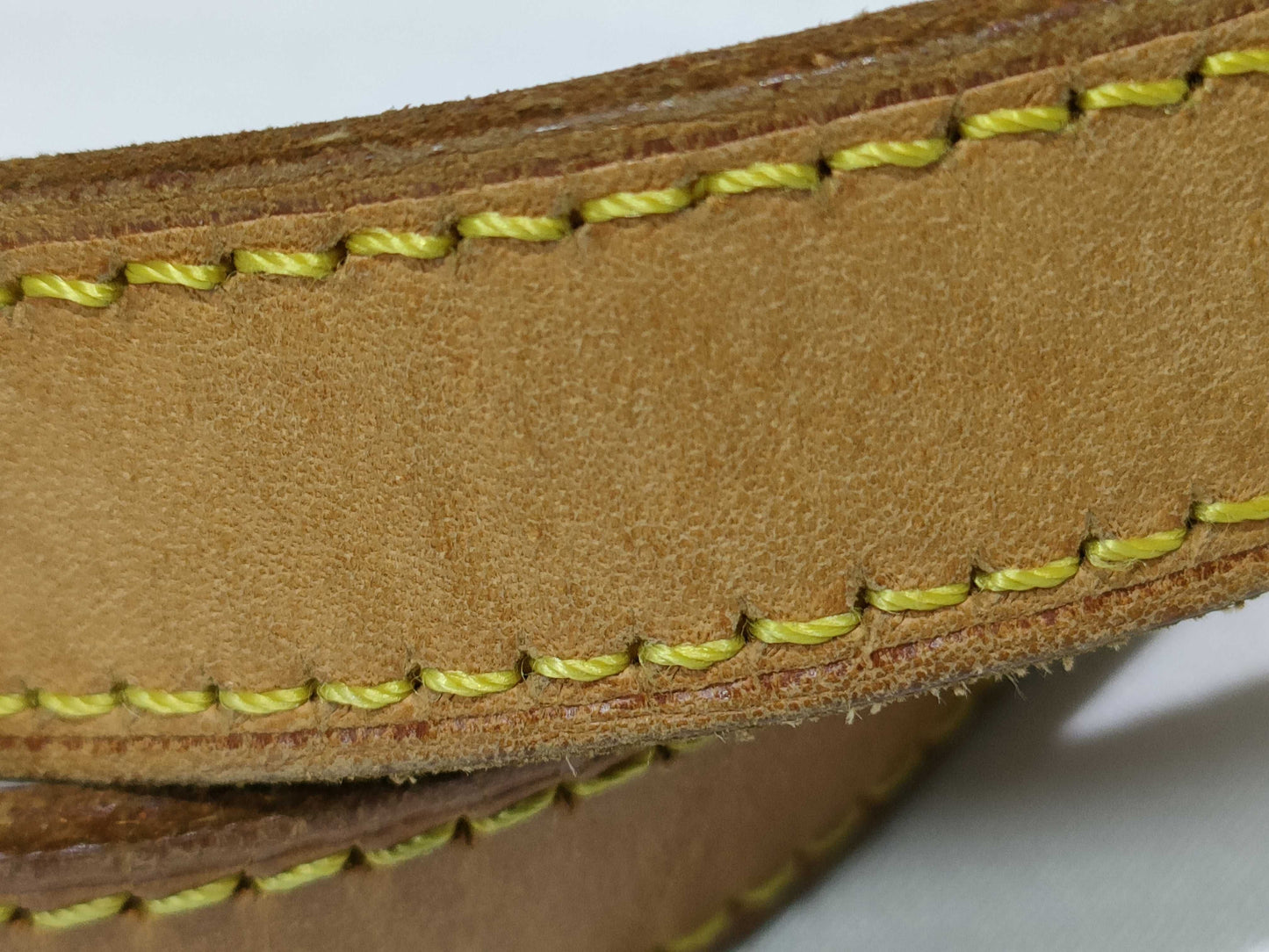 LOUIS VUITTON Monogram Louis Vuitton Hippopiano Handbag