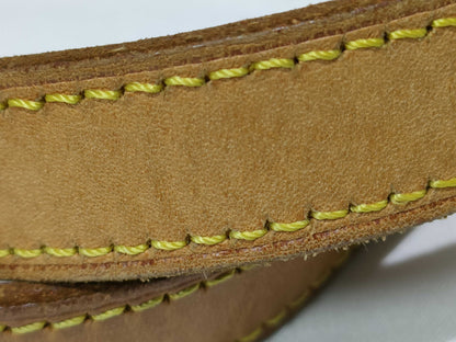 LOUIS VUITTON Monogram Louis Vuitton Hippopiano Handbag