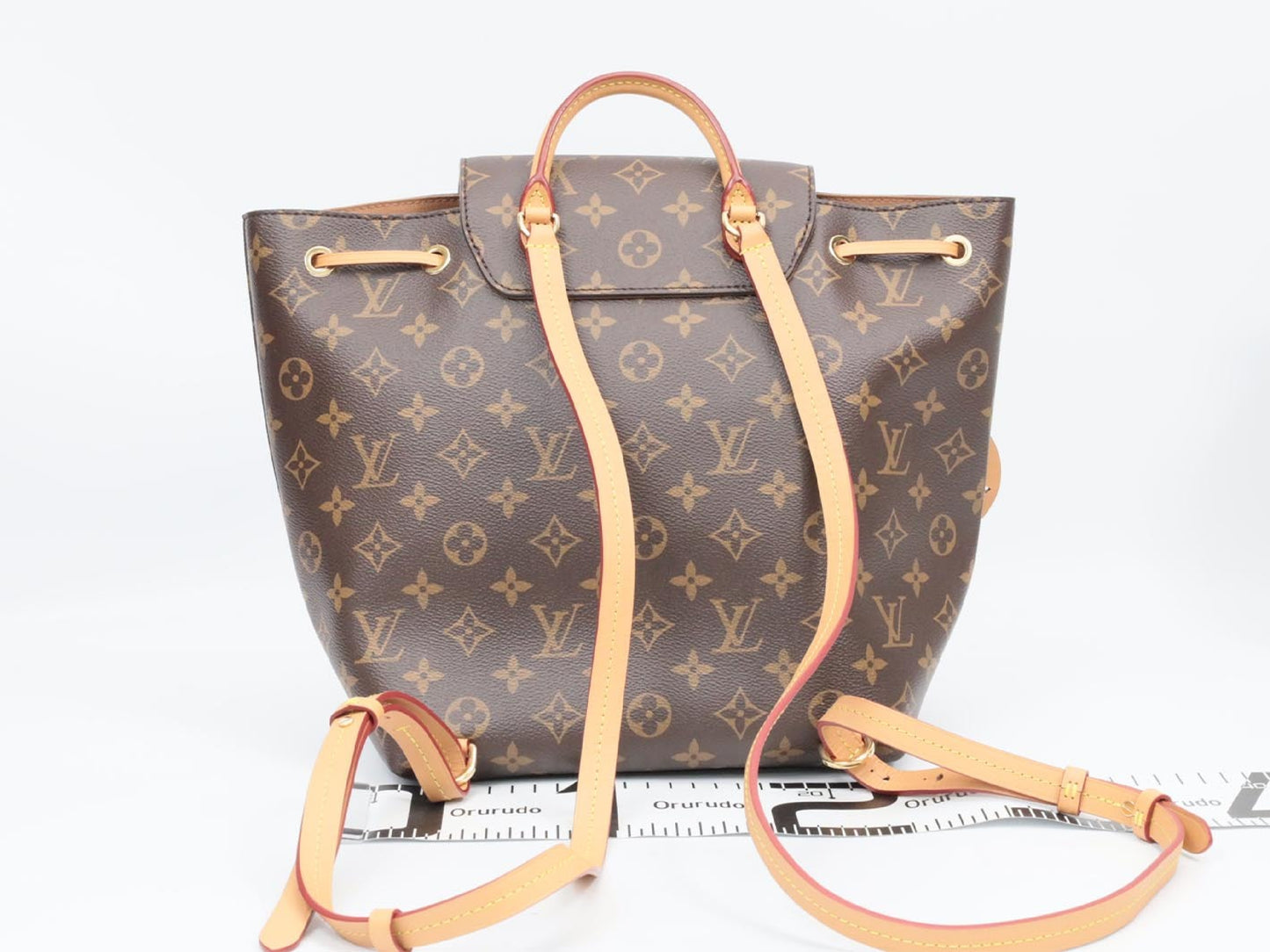LOUIS VUITTON Monogram Monsuri NM PM M45501 RFID Rucksack