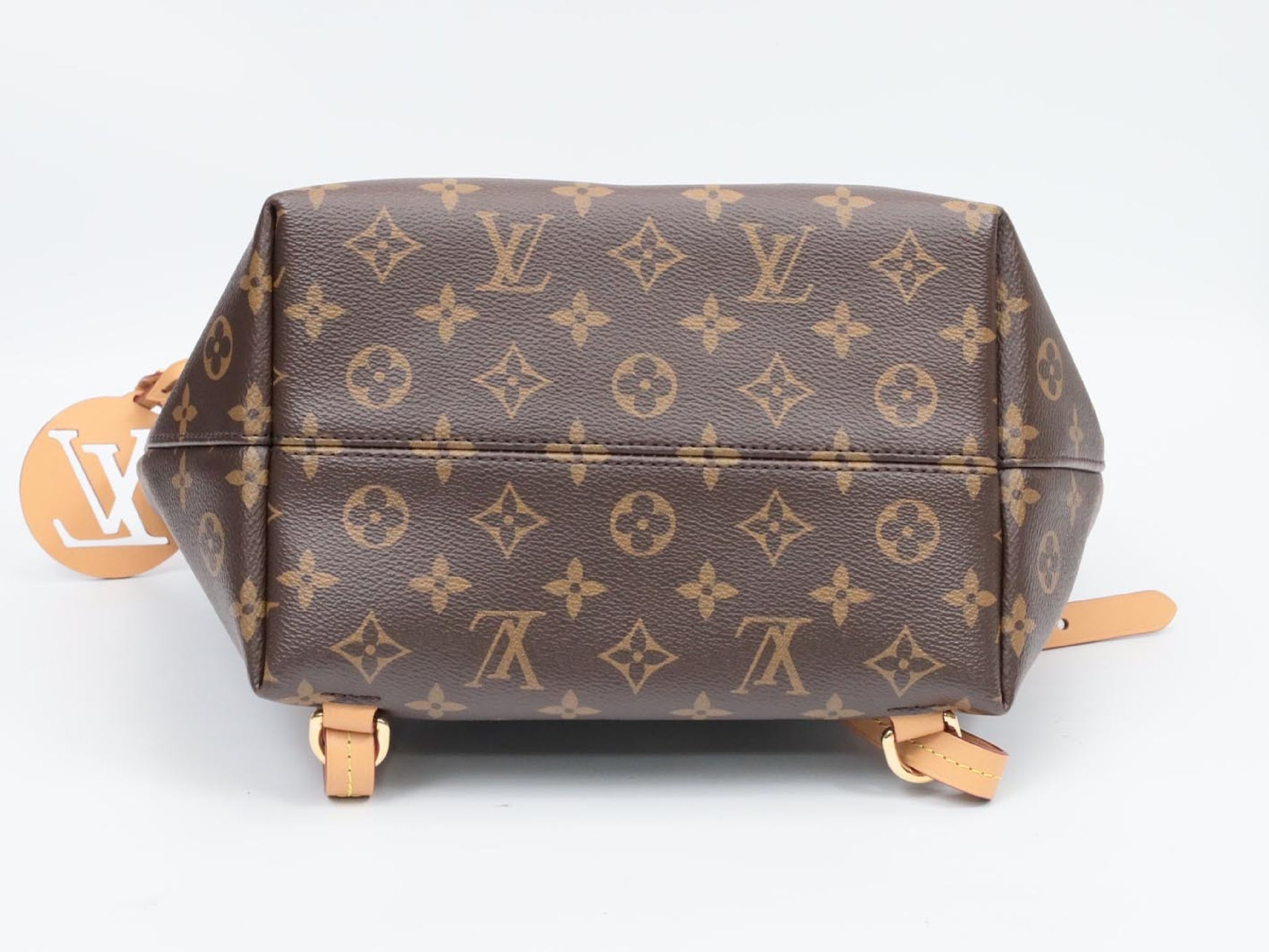 LOUIS VUITTON Monogram Monsuri NM PM M45501 RFID Rucksack