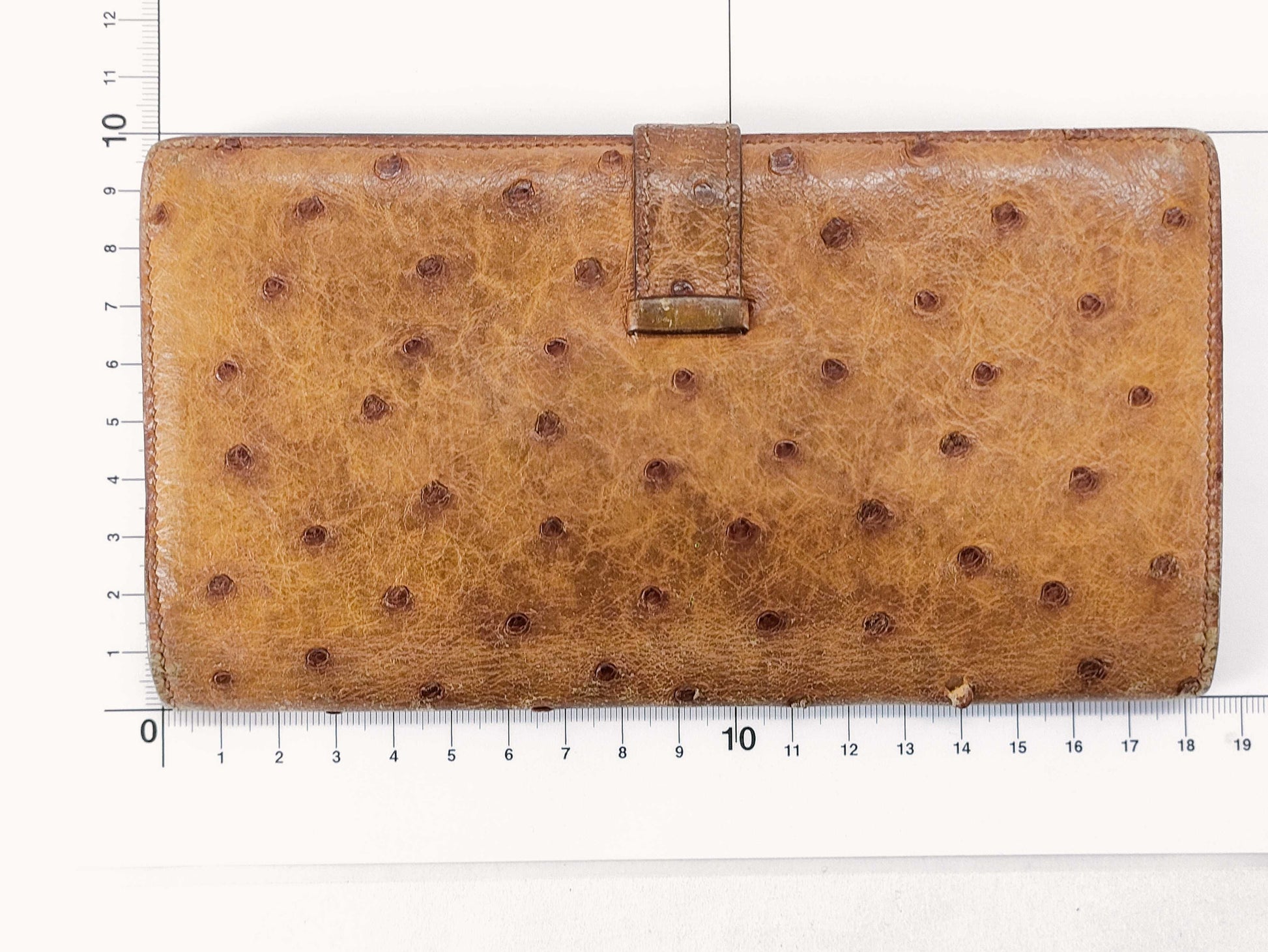 HERMES Bae Hermes Bae An Ostrich Wallet