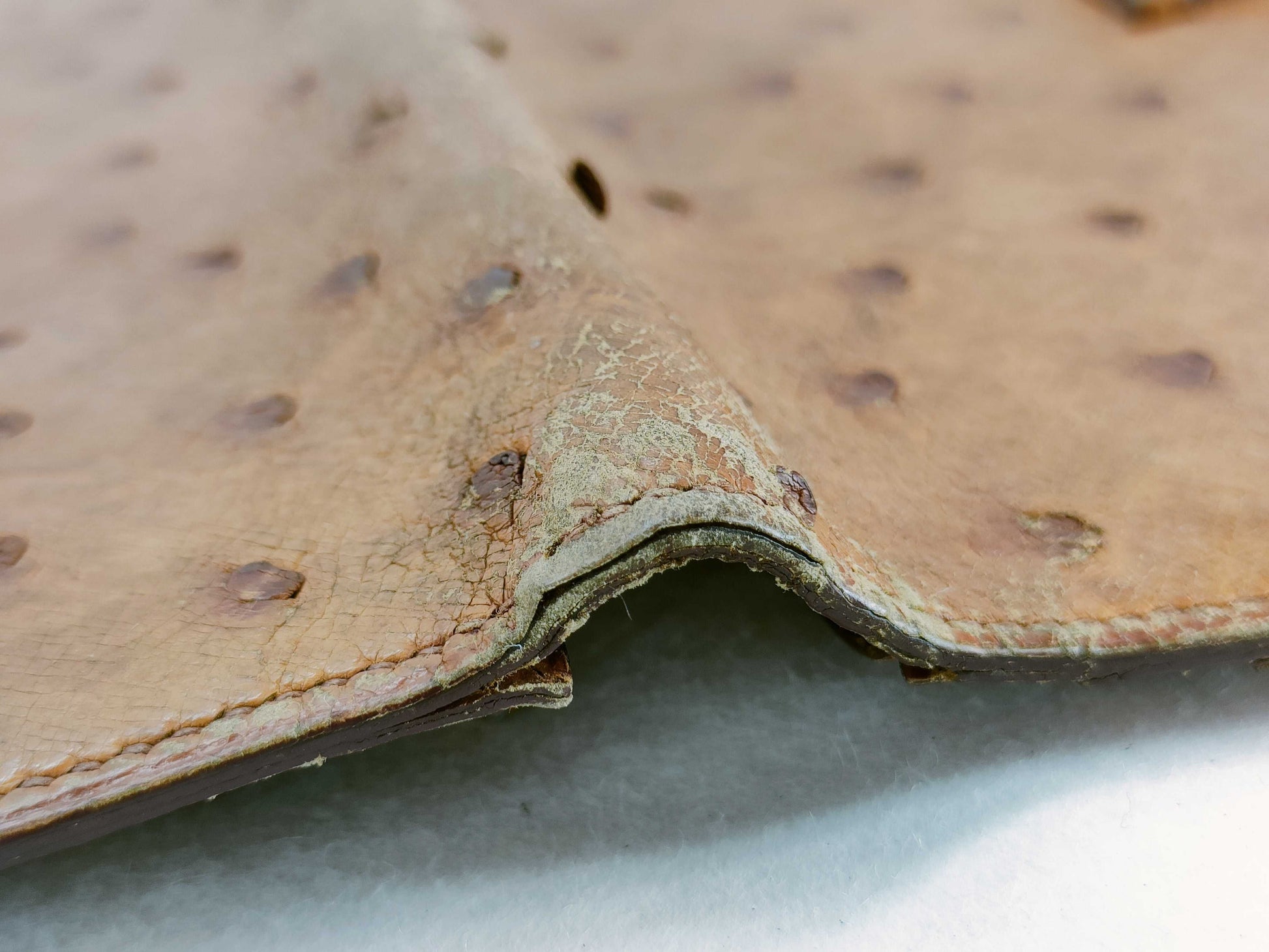 HERMES Bae Hermes Bae An Ostrich Wallet