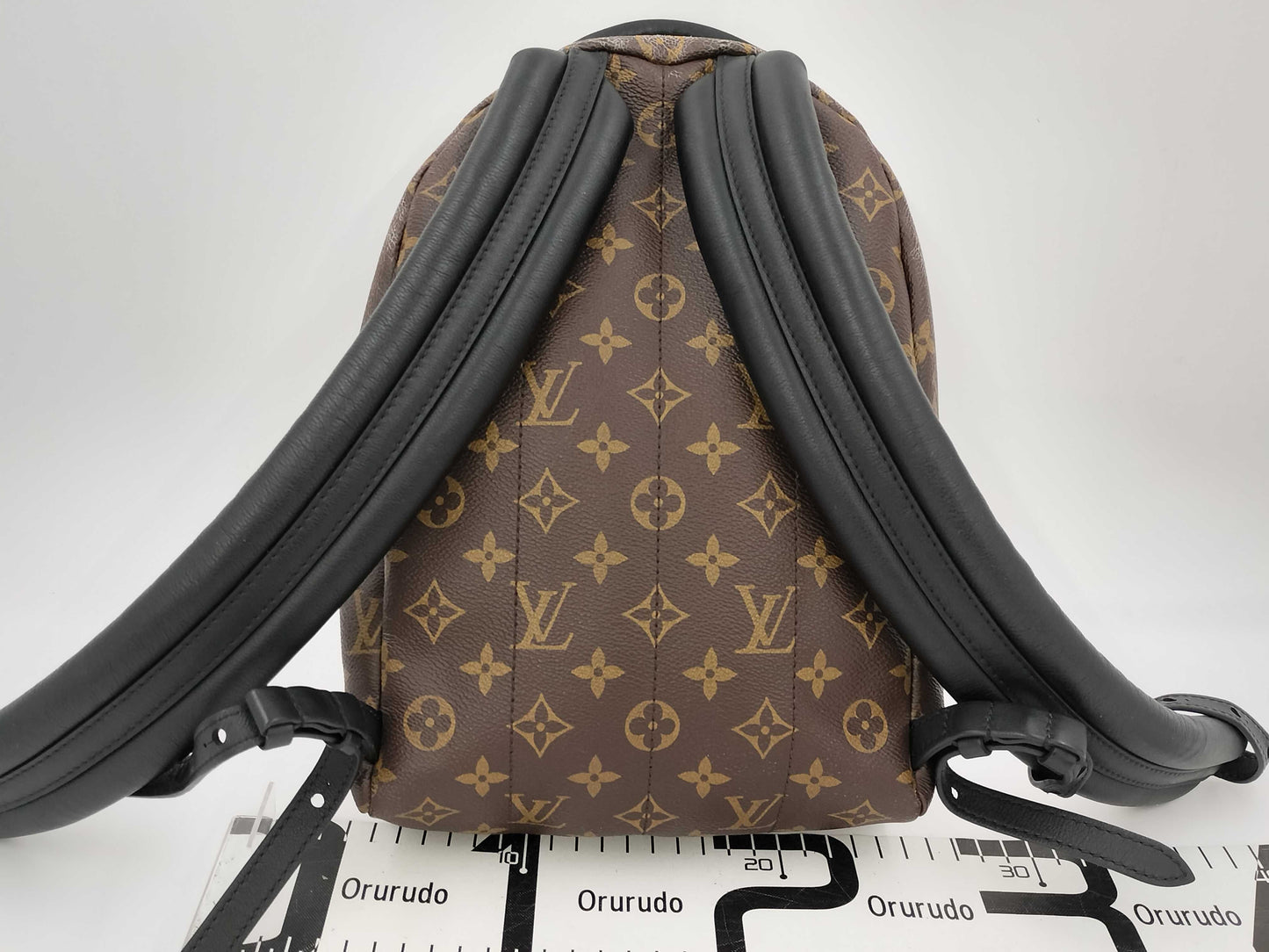 LOUIS VUITTON M44870 Monogram Reverse Palm Springs PM Rucksack