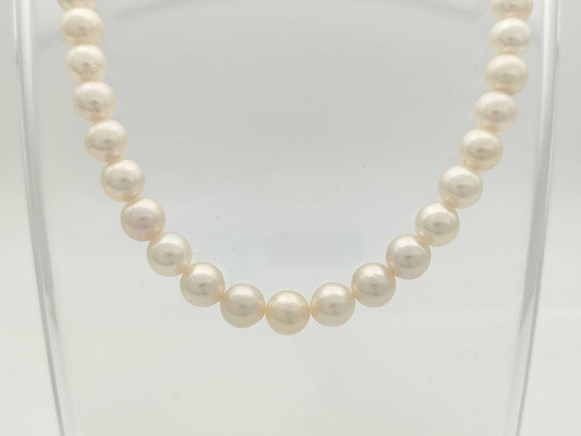 Akoya Pearl Diameter Approx. 7.4-7.8mm SV 37.3g Necklace 