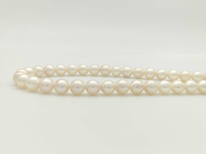 Akoya Pearl Diameter Approx. 7.4-7.8mm SV 37.3g Necklace 