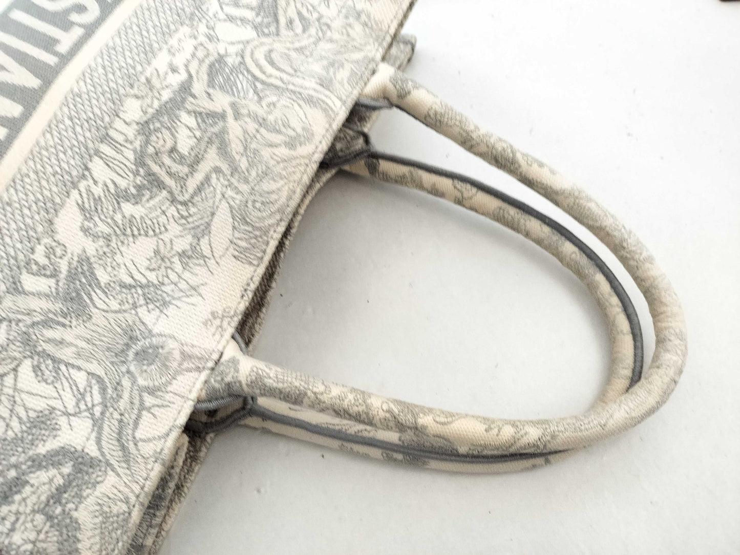 Dior Christian Dior Book Tote Medium Tote Bag