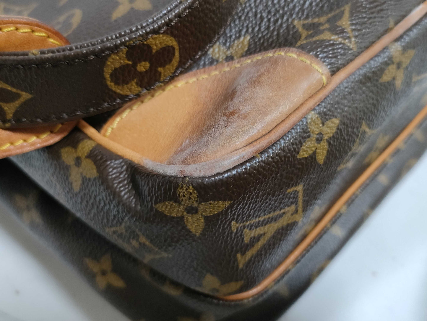 LOUIS VUITTON Monogram LV Amazon Shoulder Bag