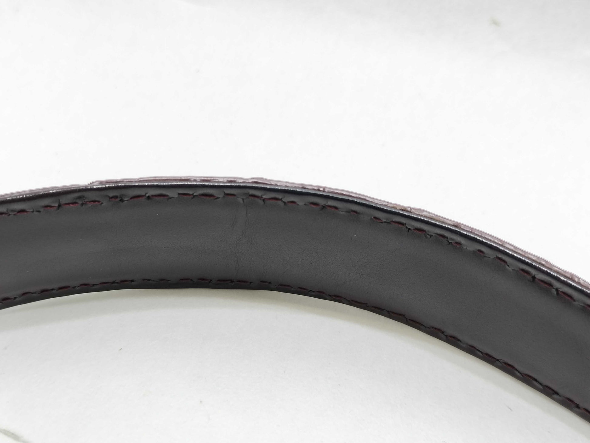 Real Crocodile Bag 2-Piece Set Bag