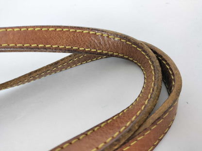 LOUIS VUITTON Monogram Louis Vuitton Bucket pm Tote Bag