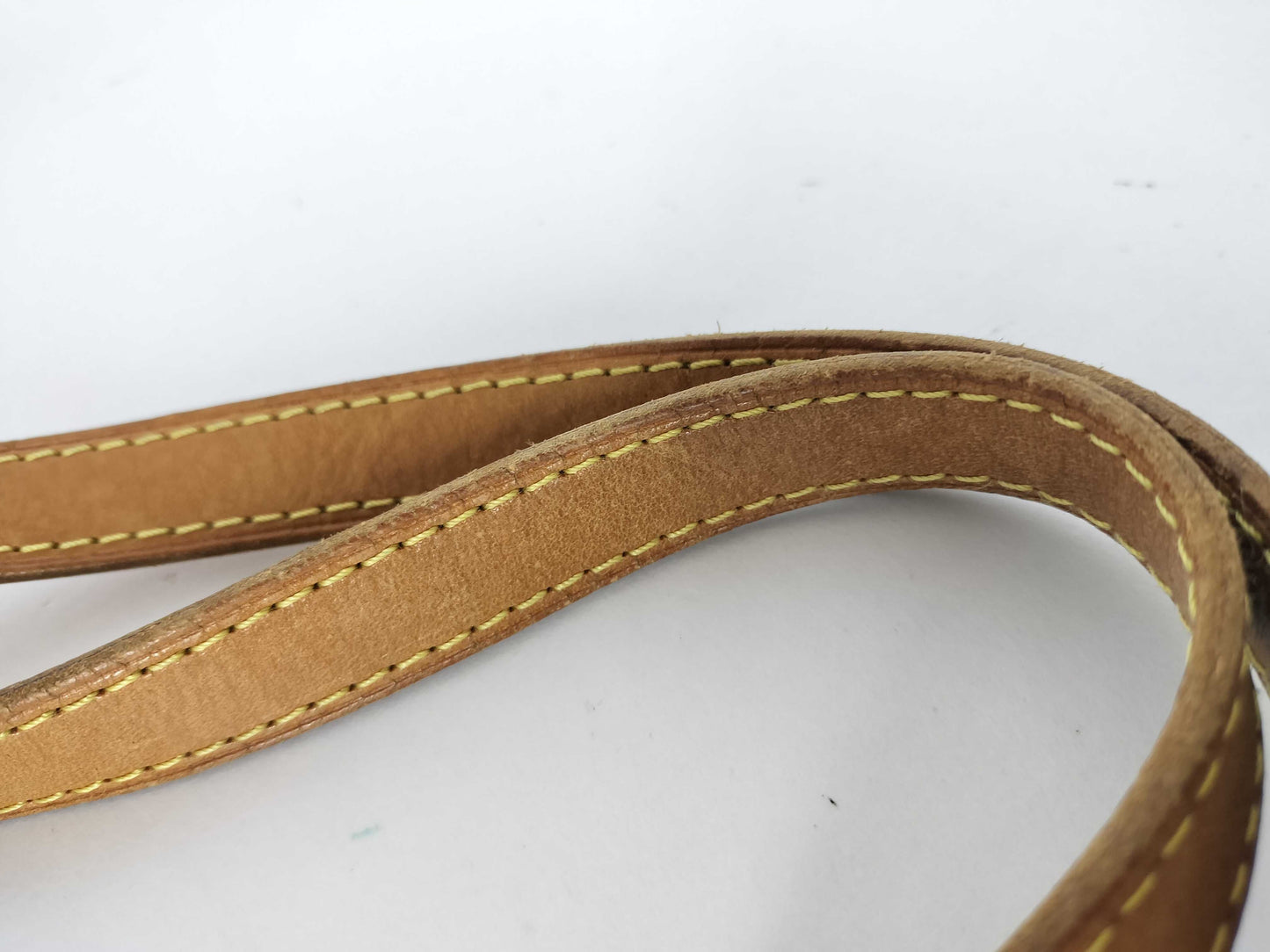 LOUIS VUITTON Monogram Louis Vuitton Totale MM Tote Bag