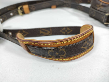 LOUIS VUITTON Monogram Vuitton Monogram Danube Shoulder Bag M45266 Shoulder Bag