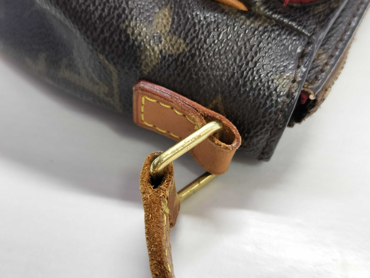 LOUIS VUITTON Monogram LV Viva Cite PM Shoulder Bag