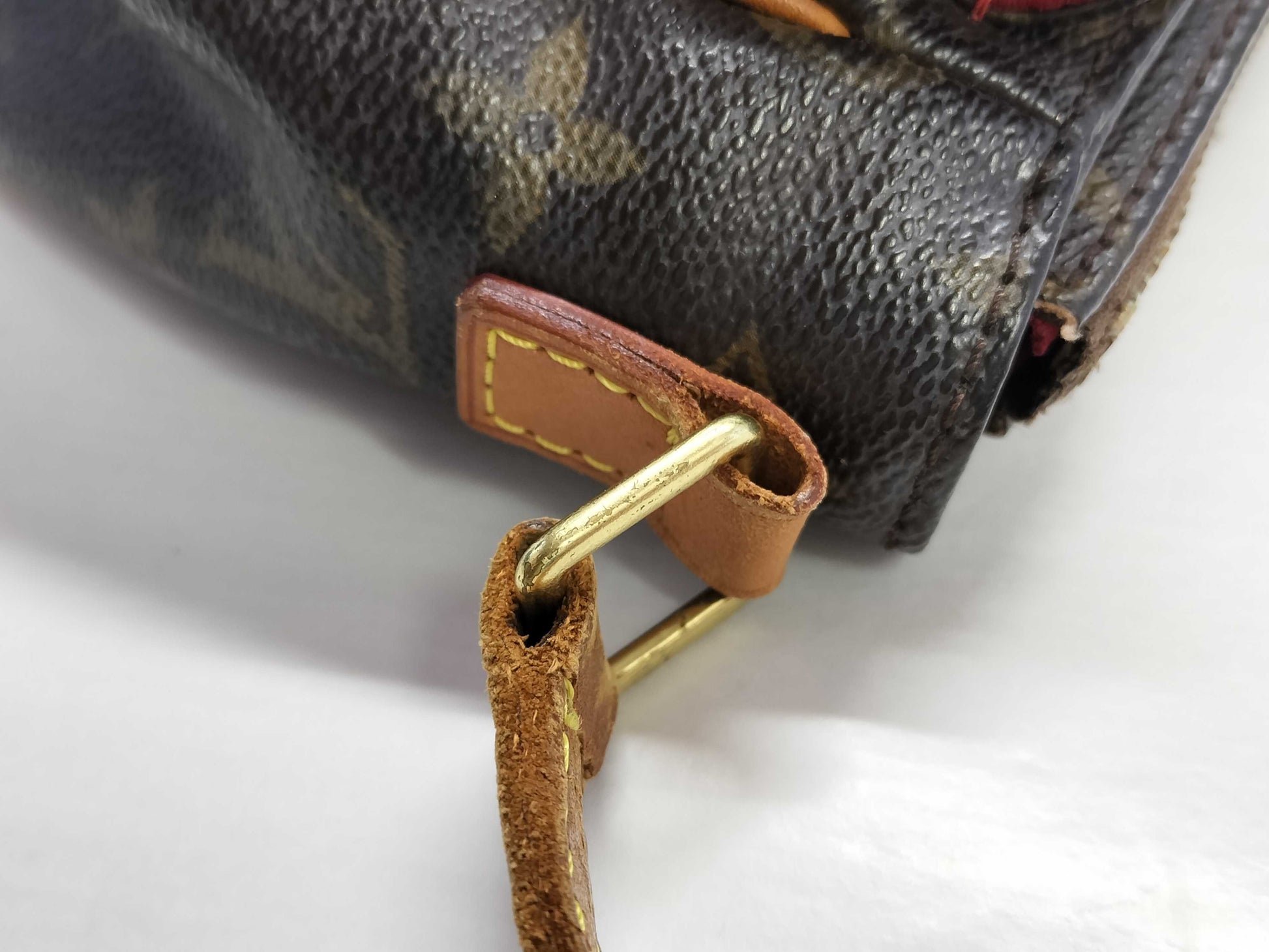 LOUIS VUITTON Monogram LV Viva Cite PM Shoulder Bag