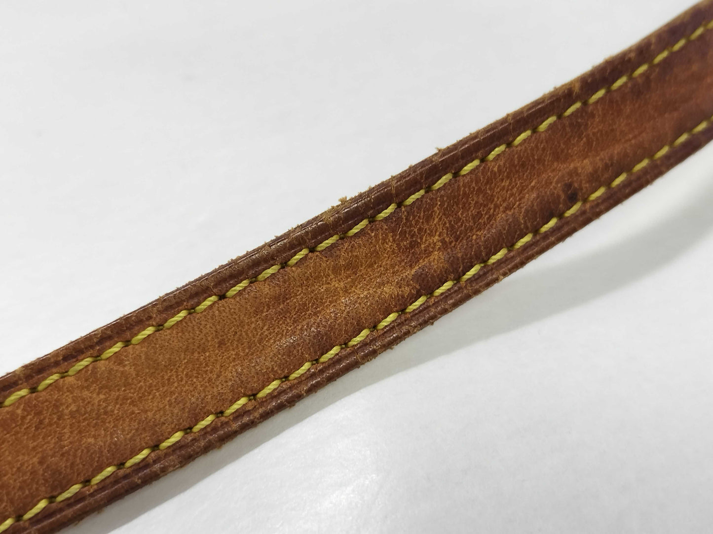 LOUIS VUITTON Monogram LV Viva Cite PM Shoulder Bag