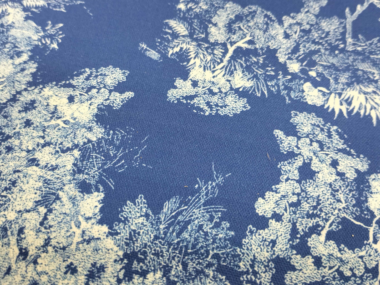 Dior Deck Chair Blue Chair