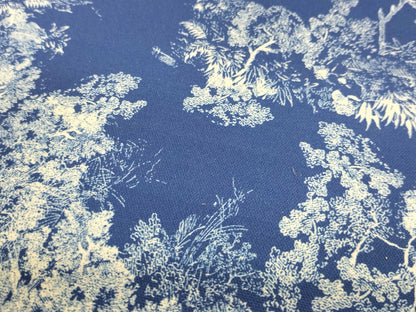 Dior Deck Chair Blue Chair