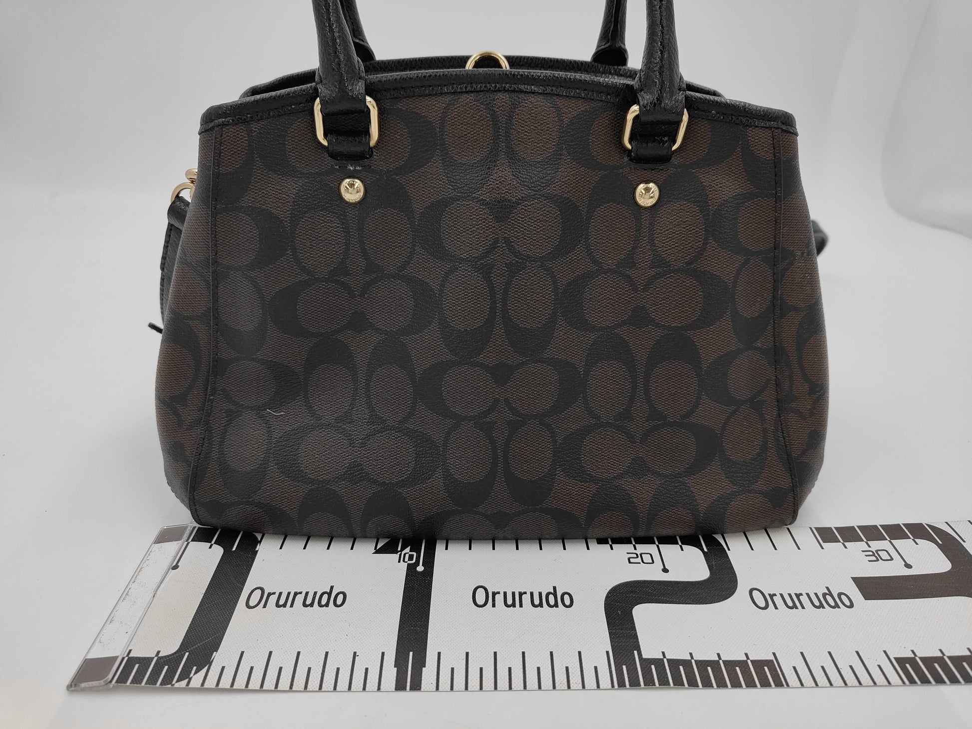 COACH COACH Signature 2-Way Bag Handbag