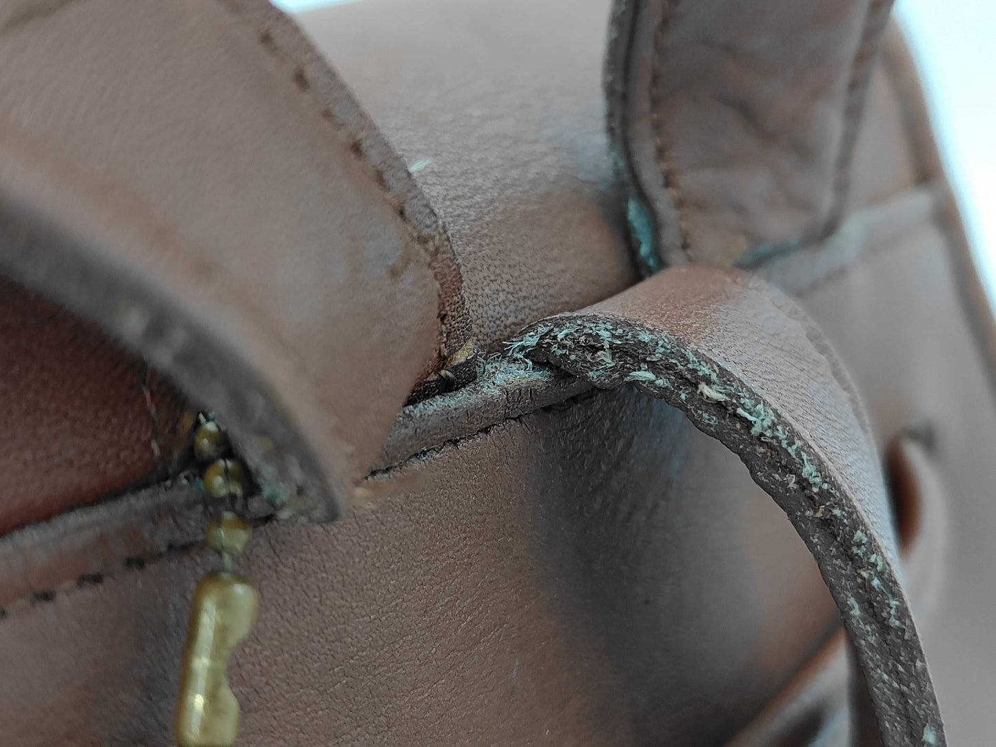 COACH Leather Mini Backpack