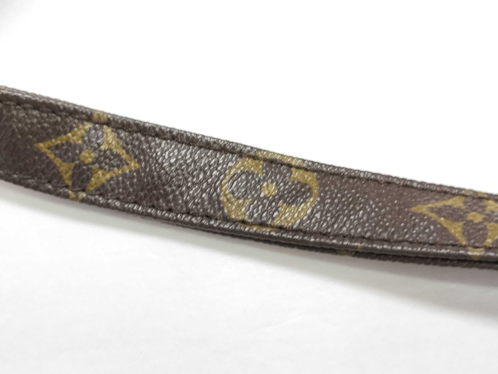 LOUIS VUITTON Monogram LV Nile Shoulder Bag