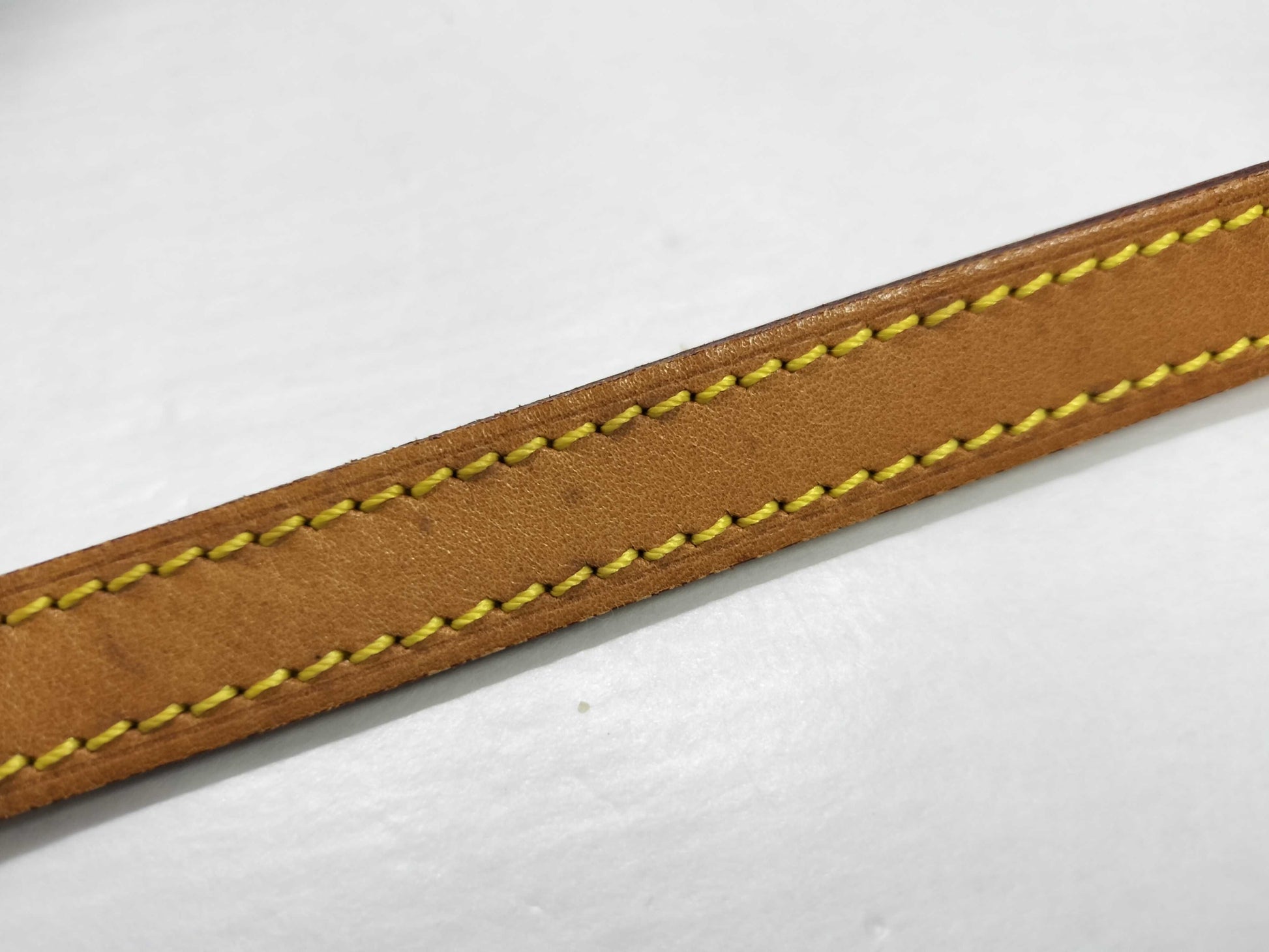 LOUIS VUITTON Monogram LV Blower Shoulder Bag