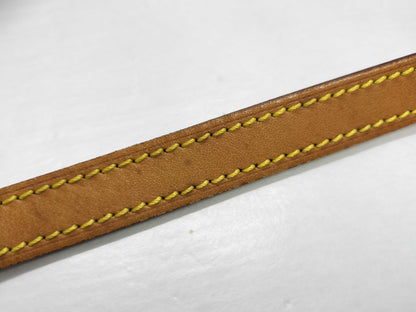 LOUIS VUITTON Monogram LV Blower Shoulder Bag