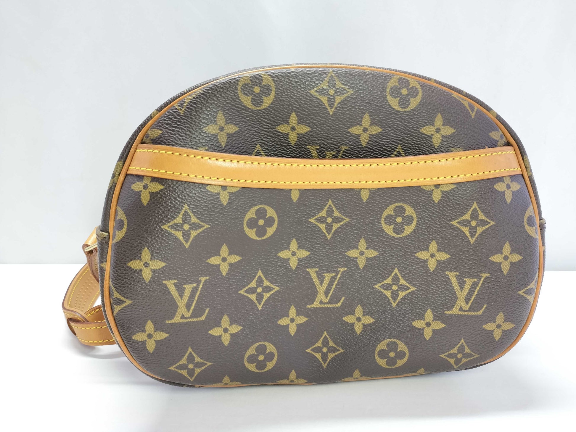 LOUIS VUITTON Monogram LV Blower Shoulder Bag