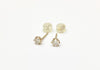 D0.13/0.13ct K10 0.3g Earrings 