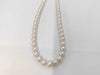 Akoya Pearl Diameter Approx. 7.0-7.5mm SV 32.2g Necklace 