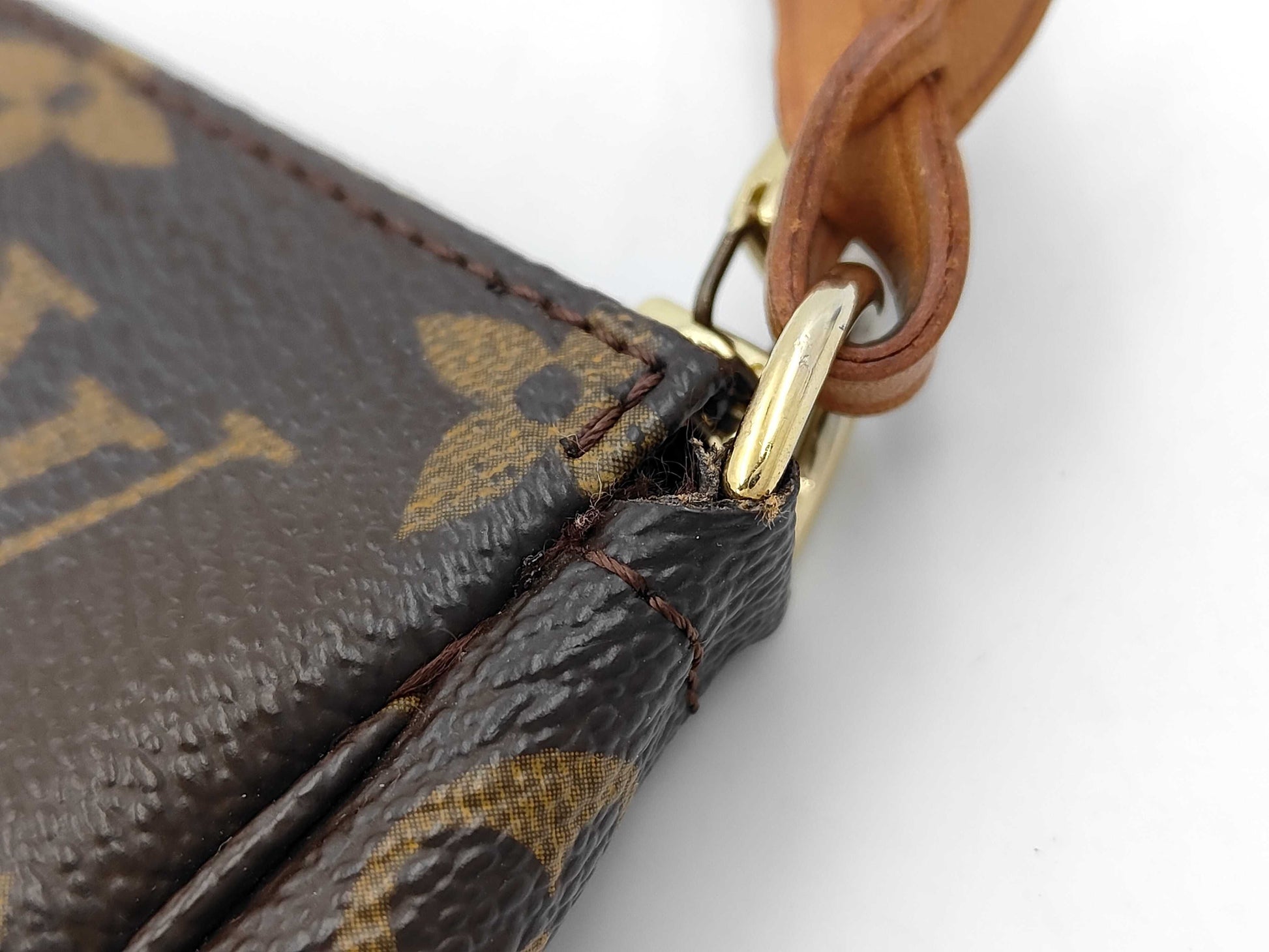 LOUIS VUITTON Louis Vuitton Accessory Pouch