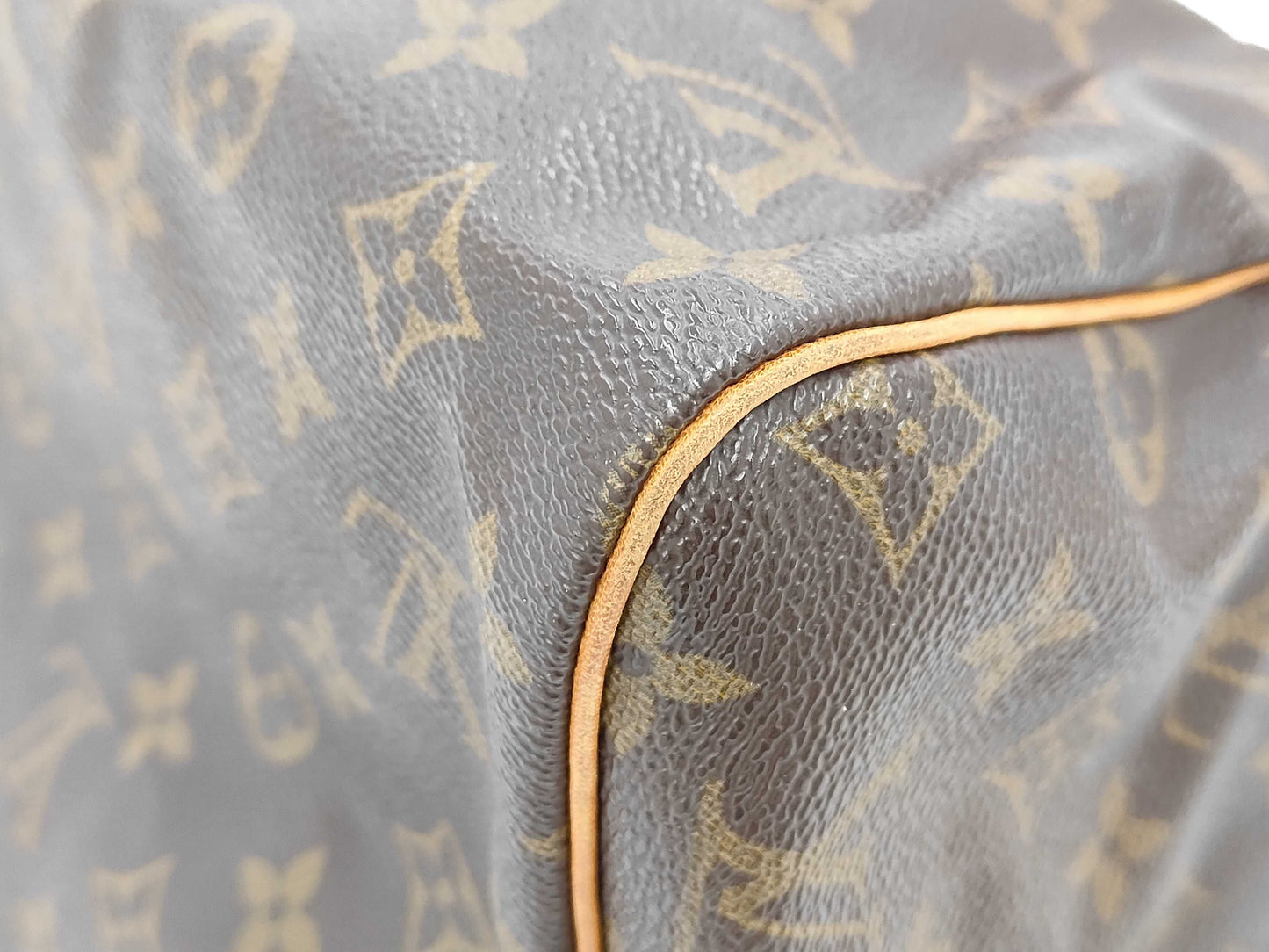 LOUIS VUITTON Monogram Speedy Handbag