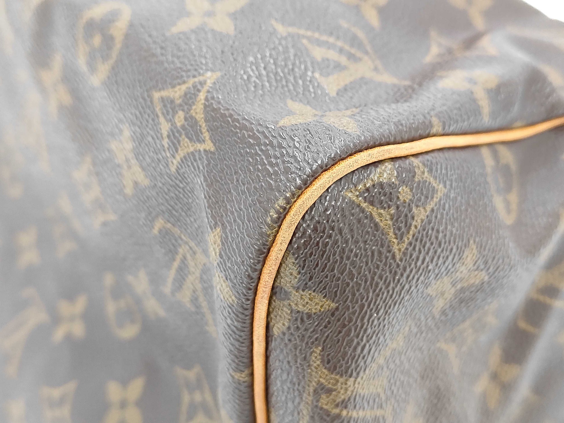 LOUIS VUITTON Monogram Speedy Handbag